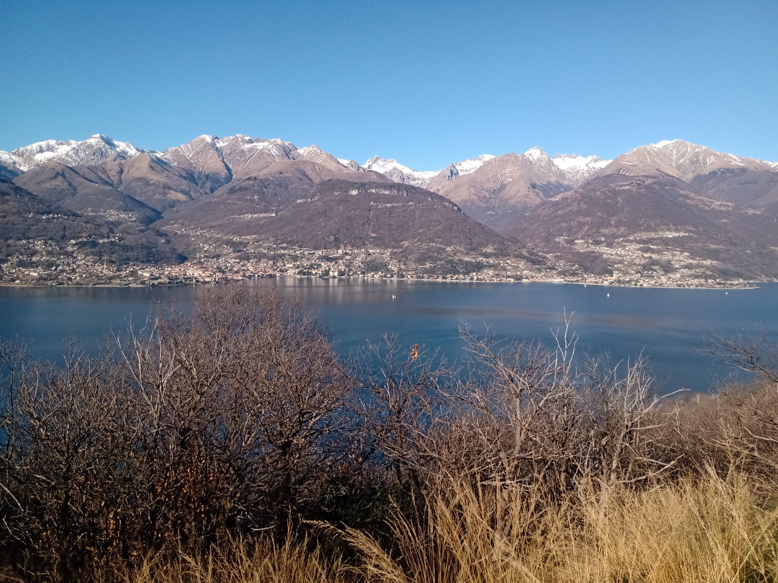 Inserire link immagine